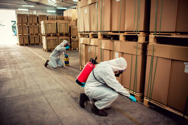 Best Affordable Pest Control Services  in Shadeland, IN