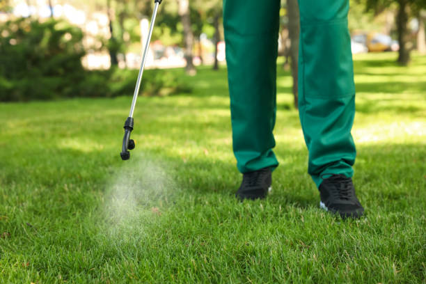 Best Affordable Pest Control Services  in Shadeland, IN