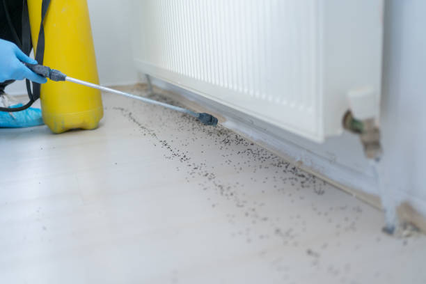 Professional Pest Control in Shadeland, IN
